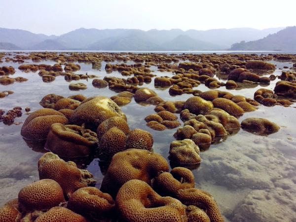 http://cdn.idntimes.com/content-images/post/old/9a09f-Pulau-Balak.jpg
