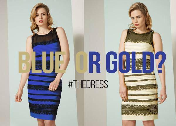 http://cdn.idntimes.com/content-images/post/old/a5f65-blue-or-gold_twitter-tatoo_kidd.jpg