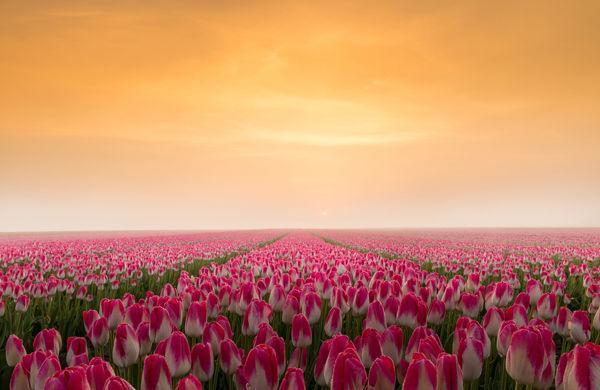 http://cdn.idntimes.com/content-images/post/old/a6249-Sunrise22_imgurcom.jpg