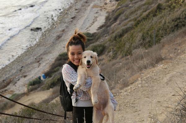 http://cdn.idntimes.com/content-images/post/old/a6324-Anjing4_carissawoophotographycom.jpg