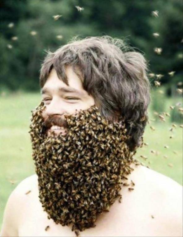 http://cdn.idntimes.com/content-images/post/old/a8bbf-14_dose.jpeg