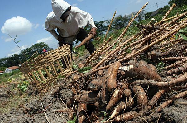 http://cdn.idntimes.com/content-images/post/old/ad0d7-Perbatasan5_beritadaerahcoid.jpg