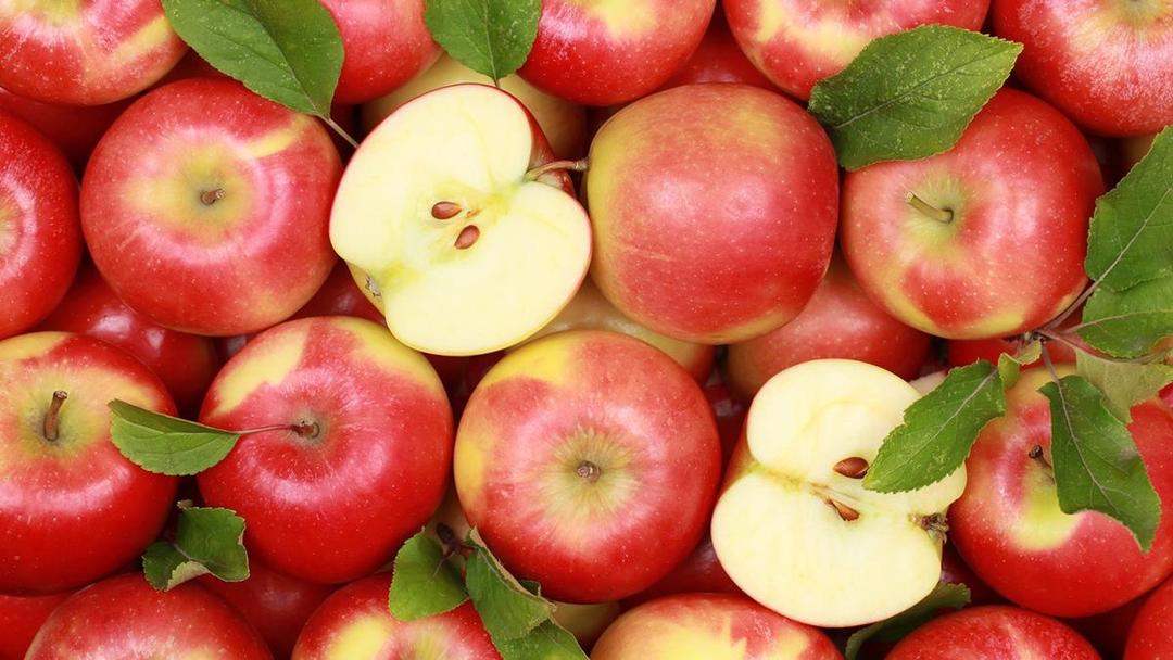 https://cdn.idntimes.com/content-images/post/20170510/apples-23eea6be6e2ad97da2d0f54eb38b92b2.jpg