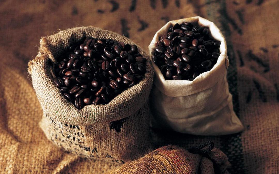http://cdn.idntimes.com/content-images/post/20160528/arabica-catura-coffee-bean-d73909df6d03b27c06a276c12988ece4.jpg