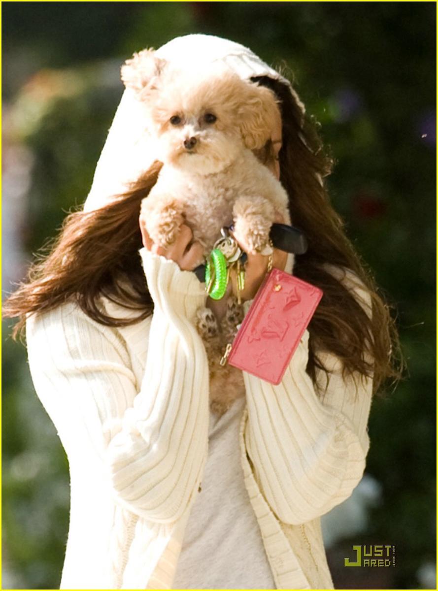 https://cdn.idntimes.com/content-images/post/20161130/ashley-tisdale-hides-maui-03-bfd0630d3382f321d5790daa286344eb.jpg