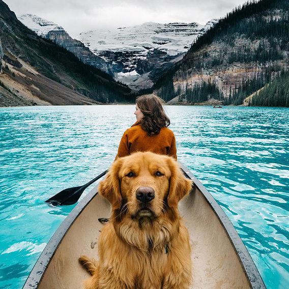 http://cdn.idntimes.com/content-images/post/20160328/aspen1-00f1ad86df31c299a908e6bc5a4d8011.jpg