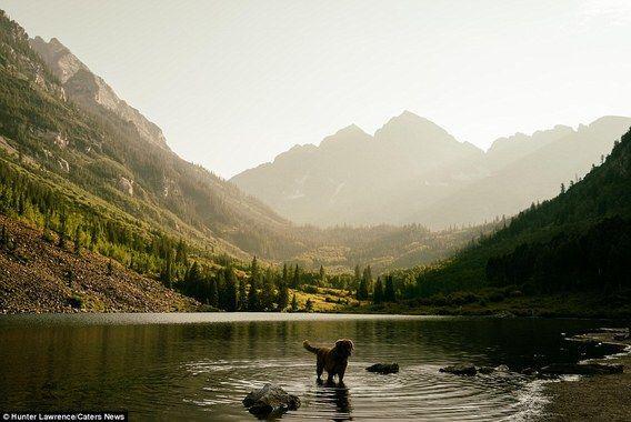 http://cdn.idntimes.com/content-images/post/20160328/aspen11-1ee60ff361a13105d51960002d5e7106.jpg