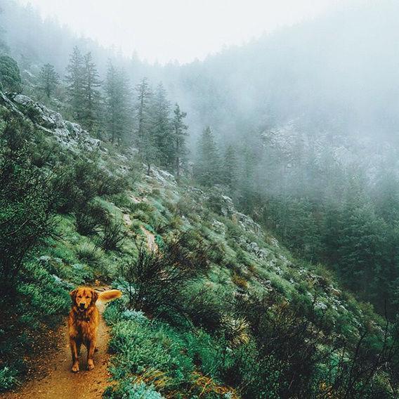 http://cdn.idntimes.com/content-images/post/20160328/aspen14-ccbdf3c418e53913650e7bf55b4e250e.jpg