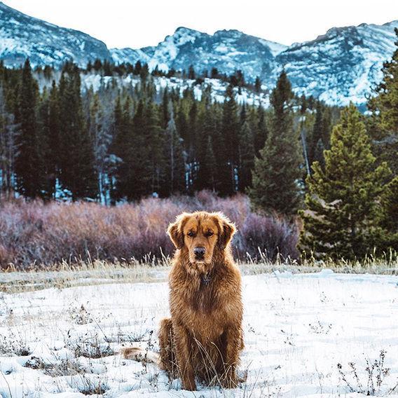 http://cdn.idntimes.com/content-images/post/20160328/aspen18-6432f49338065b0bda69b08f71e593f1.jpg