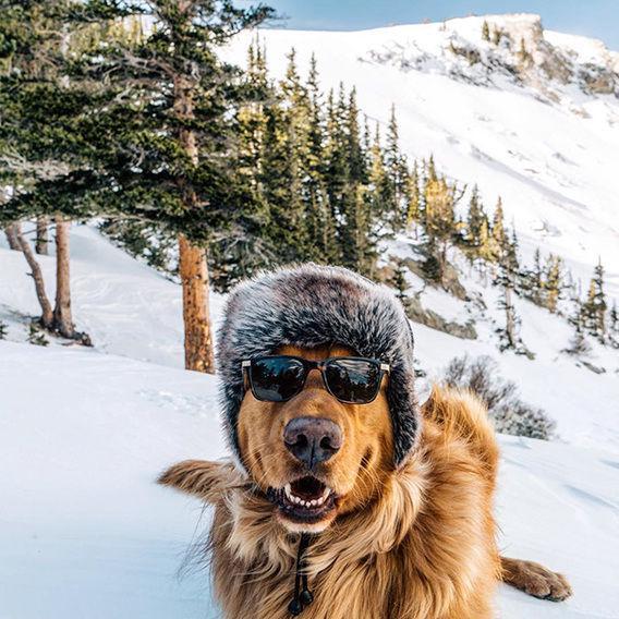 http://cdn.idntimes.com/content-images/post/20160328/aspen21-2c07365392a5985201c6fb4287b3ac27.jpg