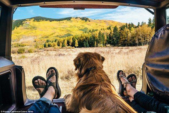 http://cdn.idntimes.com/content-images/post/20160328/aspen22-11fc654bf26d576a940c3ea65f764c71.jpg