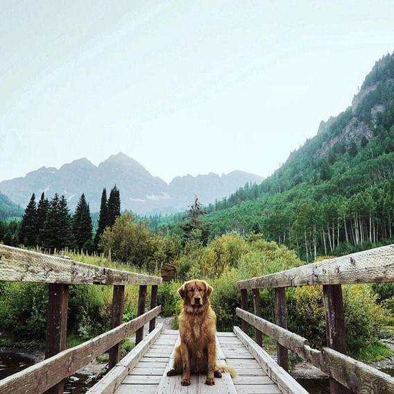 http://cdn.idntimes.com/content-images/post/20160328/aspen5-d50068a2a14075a1671bacf56e23f087.jpg