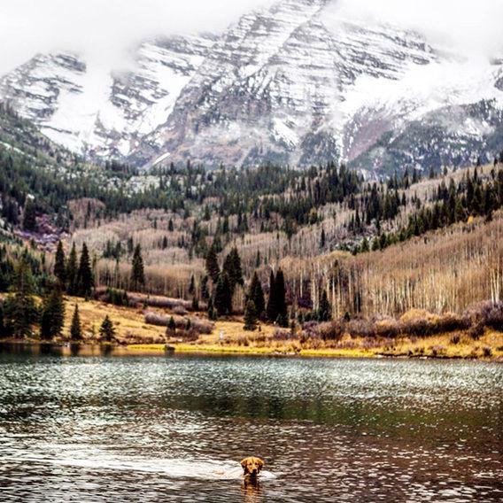 http://cdn.idntimes.com/content-images/post/20160328/aspen6-fb461bc069ad34da525c1441f41cfa2e.jpg