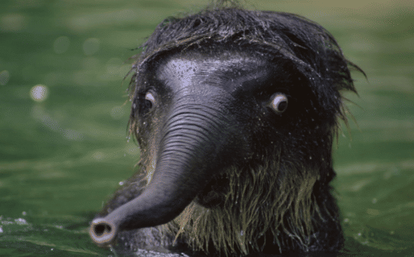 http://cdn.idntimes.com/content-images/post/old/b73c9-syok9.png
