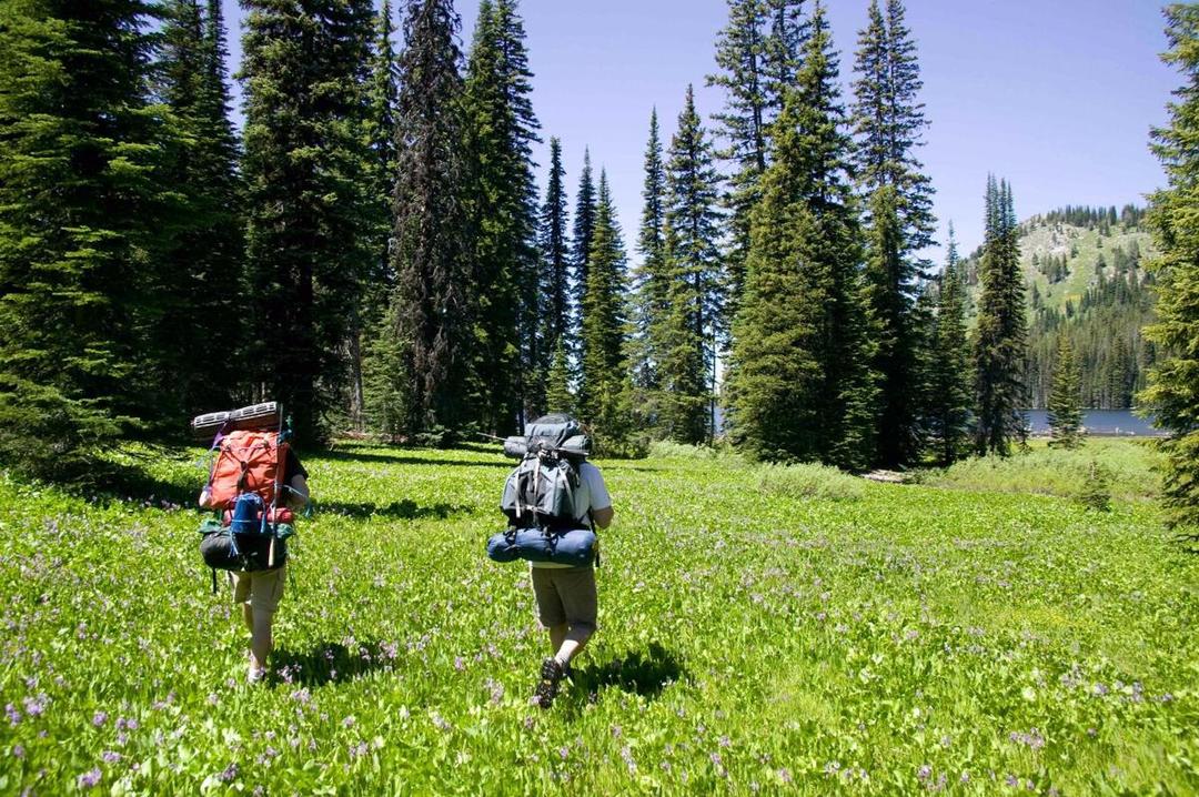 http://cdn.idntimes.com/content-images/post/20160214/backpacking-59c4051de96ab3d53932b6998d934ade.jpg