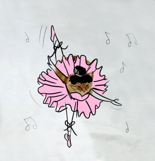http://cdn.idntimes.com/content-images/post/20151210/ballerina1-605-91458a91aa948407d496375a4cfa9081.jpg