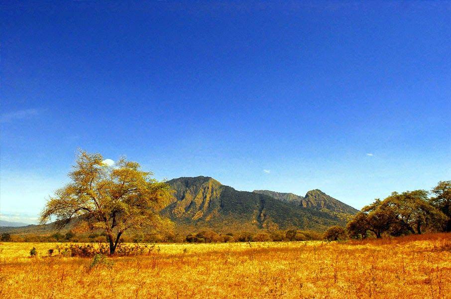 http://cdn.idntimes.com/content-images/post/20160301/baluran-national-park-113728c69ebebb5f782b468bf151a8d1.jpg