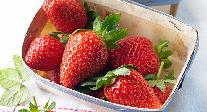 http://cdn.idntimes.com/content-images/post/20160121/bbcgoodfood-9f9d6ed3fb210b8e15921263f83898df.jpg