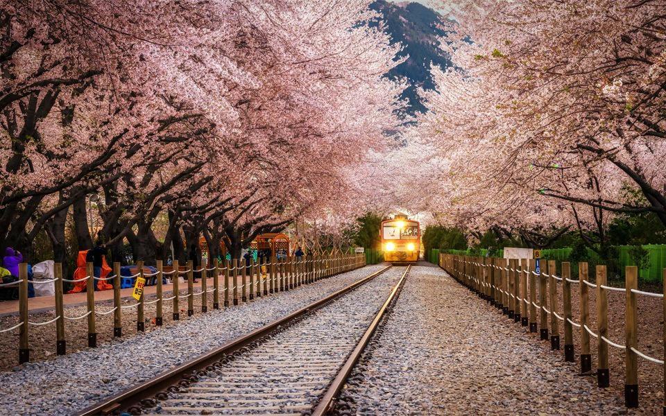 https://cdn.idntimes.com/content-images/post/20170428/beautiful-tram-station-in-south-korea-4436981ae69525c56d2352f2227f8bd0.jpg