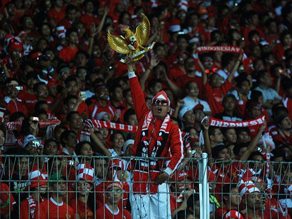 http://cdn.idntimes.com/content-images/post/20160205/bola-yulitanurmalasari-wordpress-3233bb7719bebbb1fa23eef5981ee15b.jpg