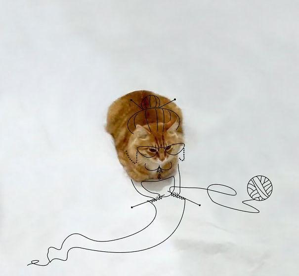 http://cdn.idntimes.com/content-images/post/20151210/cat-doodle-605-7364c9a3dfcb87a389c924439d3d8e4a.jpg
