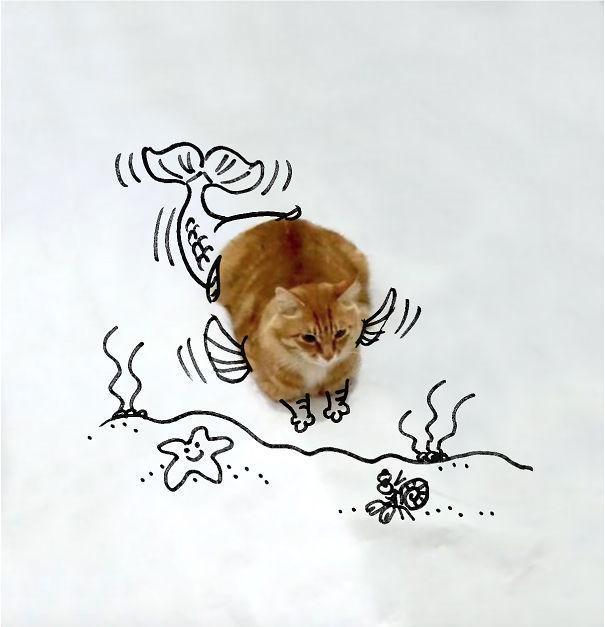 http://cdn.idntimes.com/content-images/post/20151210/cat-fish-605-d8737d3f76e1257adf28df60a9f603b9.jpg