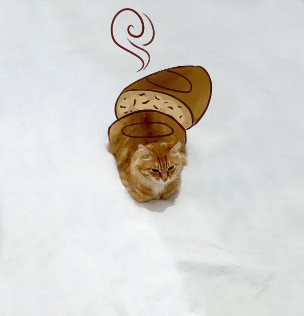 http://cdn.idntimes.com/content-images/post/20151210/catloaf-png-605-9e5772c3679f22cb95a0f60daad6fe34.jpg