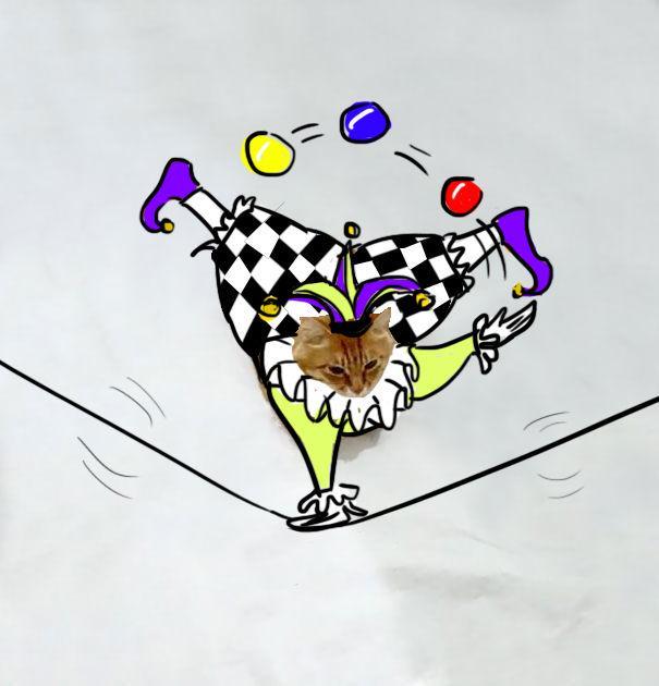 http://cdn.idntimes.com/content-images/post/20151210/circus-cat-605-648427e8d1838320055c4bf7783a281f.jpg