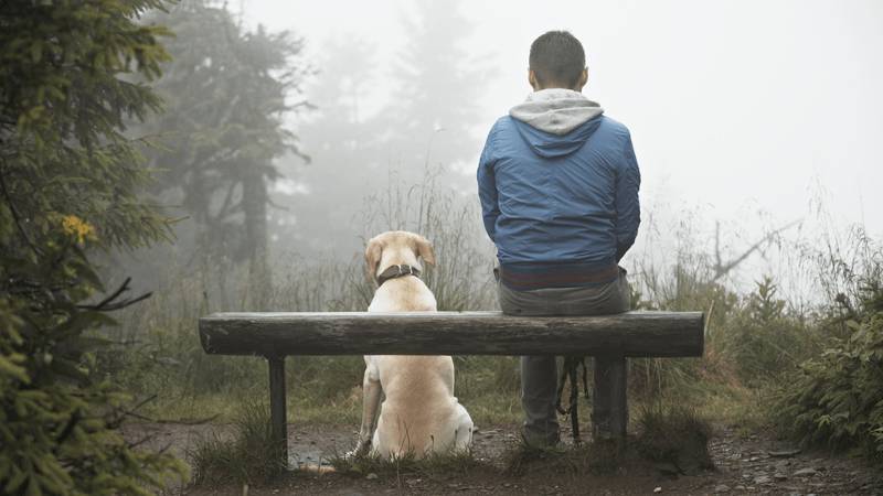http://cdn.idntimes.com/content-images/post/20160303/click-on-pets-man-dog-adventure-029931699f3e1cc1739cf018f2237ed7.png