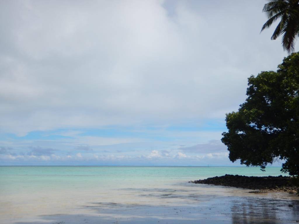 http://cdn.idntimes.com/content-images/post/20160702/cocos6b-d1ace0d7c235d510ec5a911e2fba1b43.JPG