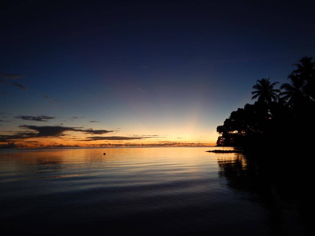 http://cdn.idntimes.com/content-images/post/20160702/cocos7a-c2d6f1b72f6ad3ac5f31912c0729a9e3.JPG