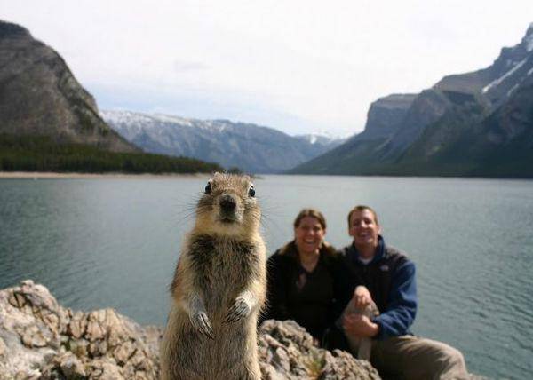 http://cdn.idntimes.com/content-images/post/old/d08d1-Foto4_viralscapecom.jpg