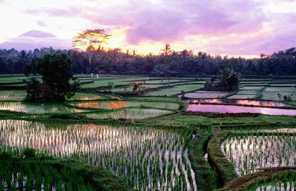 http://cdn.idntimes.com/content-images/post/old/d73bb-Sunrise13_escapeekscom.jpg