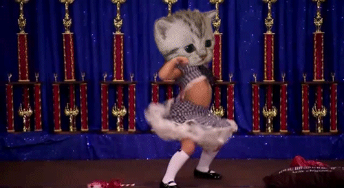 http://cdn.idntimes.com/content-images/post/20151120/dance2-66141719f747cc817901a8a9a35c8700.gif