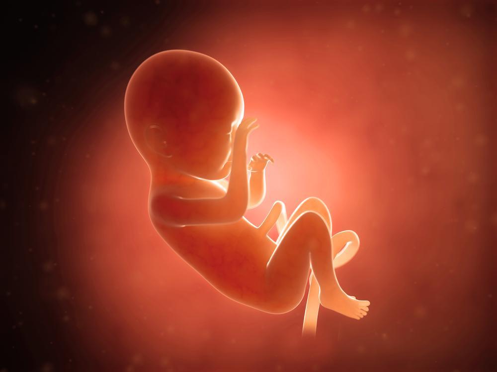 http://cdn.idntimes.com/content-images/post/old/dcf04-1_lifesite.jpg