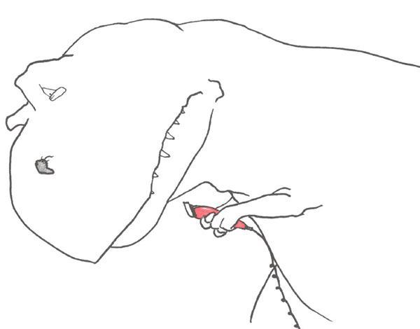 http://cdn.idntimes.com/content-images/post/old/dfcc1-TRex6_viralscapecom.png