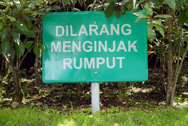 http://cdn.idntimes.com/content-images/post/20160104/dilarang-menginjak-rumput-by-ikhsanjauhari-8ead1b54cc533cbda991c77fb6cb69b8.jpg