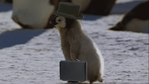 http://cdn.idntimes.com/content-images/post/old/e25be-10.gif