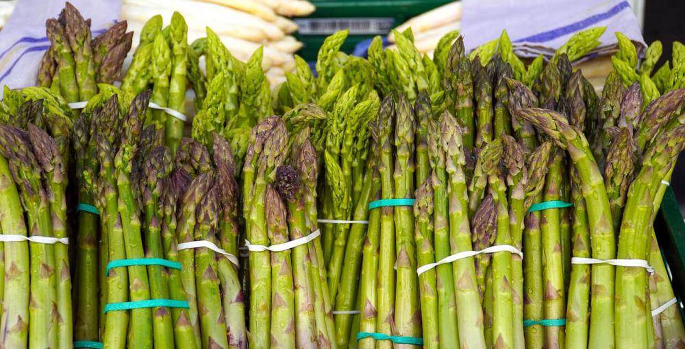 ilustrasi asparagus (pixabay.com/matthiasboeckel)