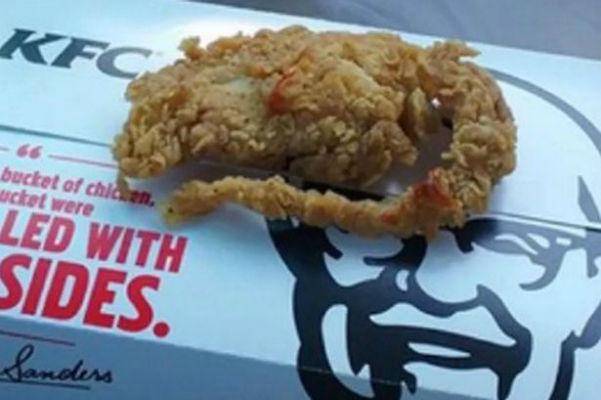 http://cdn.idntimes.com/content-images/post/old/eda80-KFC-fried-rat_mirror-01.jpg