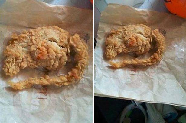http://cdn.idntimes.com/content-images/post/old/edff3-KFC-fried-rat_mirror.couk.jpg