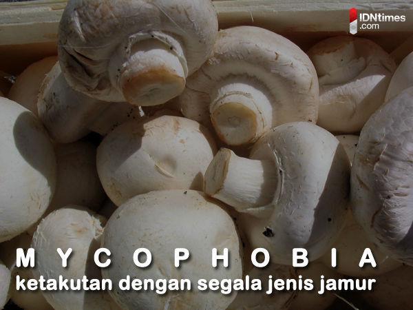 http://cdn.idntimes.com/content-images/post/old/efecc-Phobia18_wikimediaorg.jpg