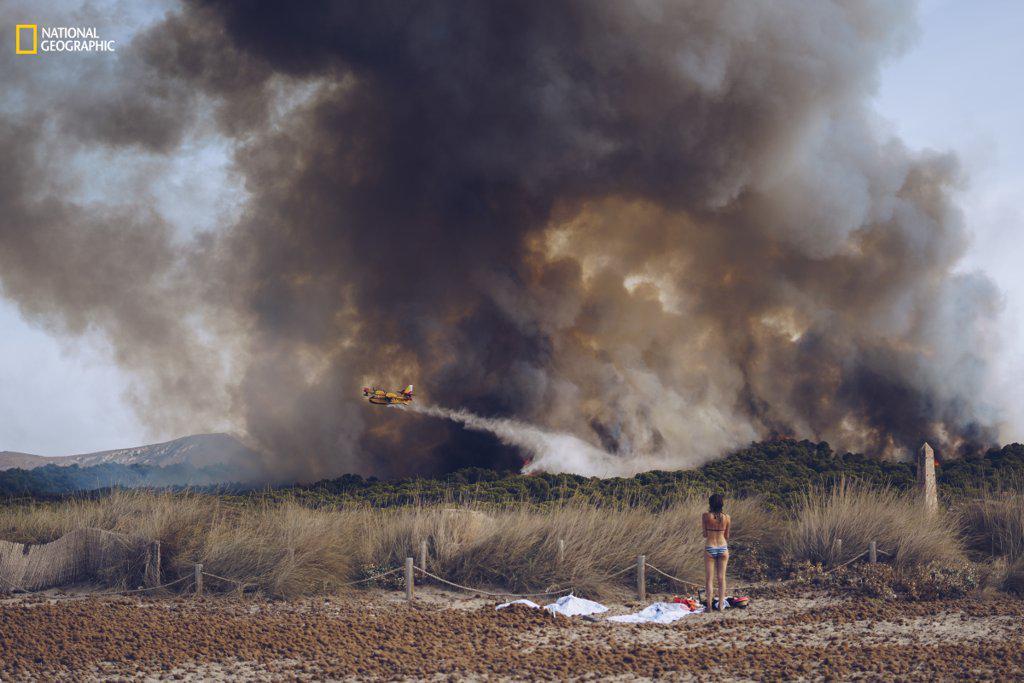 https://cdn.idntimes.com/content-images/post/20161220/environmental-issues-first-honorable-mention-wildfire-beach-4d2e51c468511394a751e2bc0b98c5d5.jpg