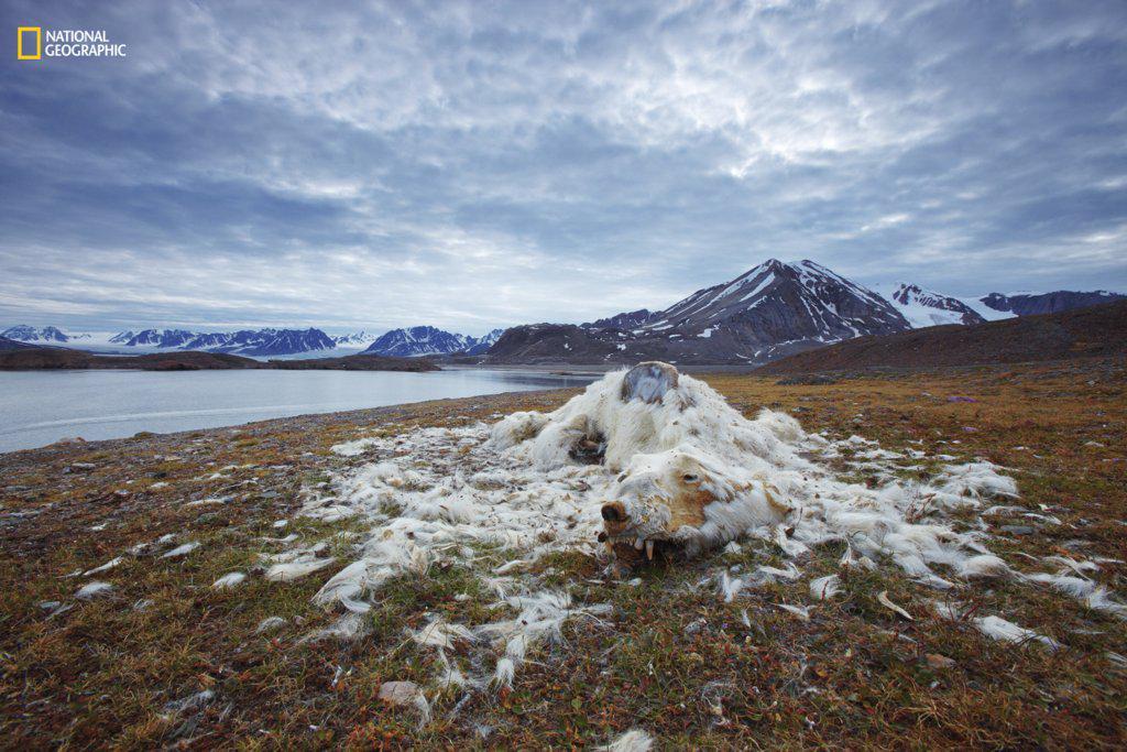 https://cdn.idntimes.com/content-images/post/20161220/environmental-issues-first-place-life-death-b08baef302a15f1c08fe468490b1b640.jpg