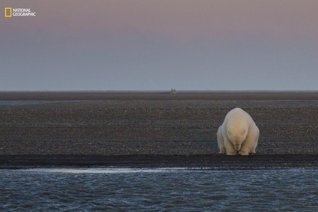 https://cdn.idntimes.com/content-images/post/20161220/environmental-issues-third-honorable-mention-snow-ice-5b517ac65d3f89a600baac48c29d0bb1.jpg