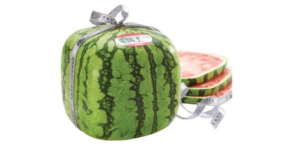 http://cdn.idntimes.com/content-images/post/old/f03af-square-watermelon---postmediavancouversun.wordpress.com.jpg
