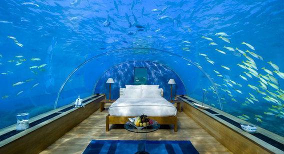 http://cdn.idntimes.com/content-images/post/20151222/fiji-44759ba566a787ac3325264de3303f49.jpg