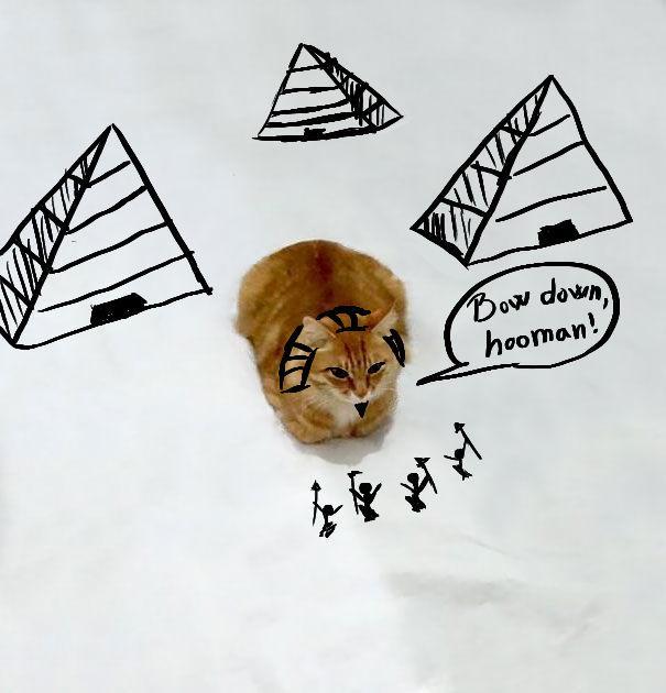 http://cdn.idntimes.com/content-images/post/20151210/funny-doodles-on-lovely-cat-photo20-605-3abd1de02032bd52615d0a47d22609b7.jpg