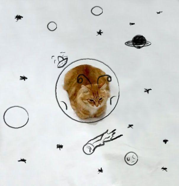 http://cdn.idntimes.com/content-images/post/20151210/funny-doodles-on-lovely-cat-photo3-605-41c5f0dbd4e0594f4eb4bc65843a46a0.jpg