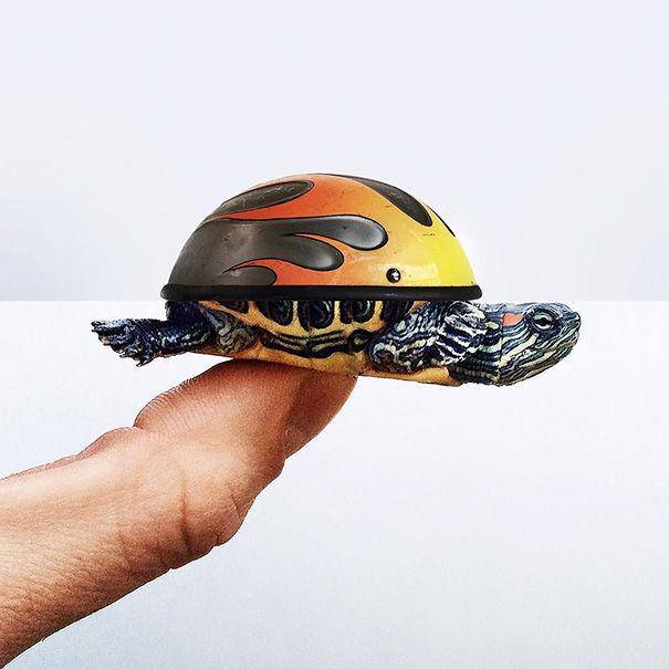 http://cdn.idntimes.com/content-images/post/20160525/funny-photo-mashups-stephen-mcmennamy-60-605-98d7b667e8619ec3e687da72a3733c84.jpg